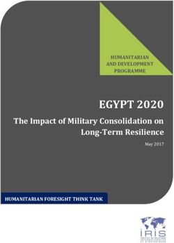 EGYPT 2020 The Impact of Military Consolidation on Long-Term Resilience - HUMANITARIAN - Institut de Relations Internationales et Stratégiques