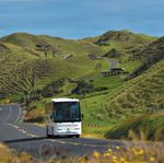 New Zealand NORTH ISLAND GARDEN TOUR 2020 - Grand Pacific Tours