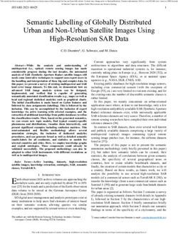 Semantic Labelling of Globally Distributed Urban and Non-Urban Satellite Images Using High-Resolution SAR Data
