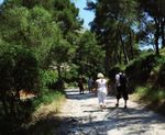 Summer program 2019 Natural paradise Mallorca - MasioTours Mallorca Masio Vicens info ...