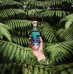 The spirit of the south - 2020 wild earth travel FLY YOUR WAY TO TASTING THE BEST OF THE SOUTH ISLAND SPIRITS - Searle Travel