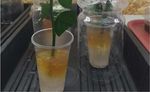 The Effect of Hydrogel on Plant Growth - International Journal of Oil, Gas and Coal Engineering - Science Publishing ...