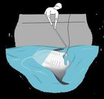 Handling and release guidelines for manta and devil rays (mobulids)