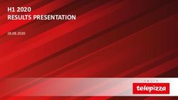 H1 2020 RESULTS PRESENTATION 28.08.2020 - Luxembourg Stock Exchange