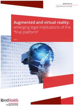 Augmented and virtual reality: emerging legal implications of the "final platform" 2017