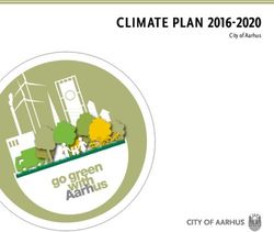CLIMATE PLAN 2016-2020 - City of Aarhus - Lokalcentre