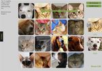 Exploring Q-Learning for Adaptive Difficulty in a Tile-based Image Labeling Game