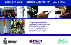 Tobacco Control Plan 2021-2023 - Public ...