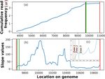Clusters of hairpins induce intrinsic transcription termination in bacteria