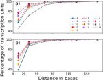 Clusters of hairpins induce intrinsic transcription termination in bacteria