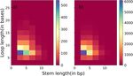 Clusters of hairpins induce intrinsic transcription termination in bacteria
