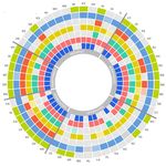 Understanding Variation in Dental Hygiene Scope of Practice: Why It Matters