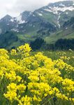 YOUR am Berg SUMMER - Hotel Austria