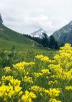 YOUR am Berg SUMMER - Hotel Austria