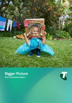Bigger Picture 2021 Sustainability Report