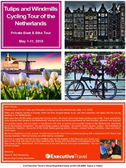 Tulips and Windmills Cycling Tour of the Netherlands - Executive Travel