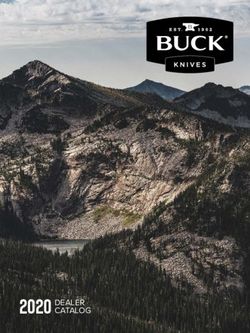 2020 DEALER - SAS Securitas