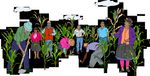 FACILITATORS' FIELD GUIDE FOR FARMER FIELD SCHOOLS ON PARTICIPATORY PLANT BREEDING - Module: Participatory Variety Enhancement