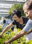 CARE TRANSFORMING THE AHS WAY - Khoo Teck Puat Hospital