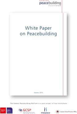 White Paper on Peacebuilding
