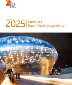 2025 Scenario 2 Everything is an experience - DS Smith