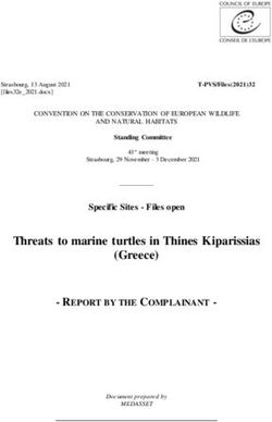 Threats to marine turtles in Thines Kiparissias (Greece) - Council of Europe