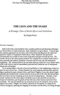 THE LION AND THE SNAKE - A Strategic View of South Africa and Zimbabwe