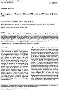A new species of Drymusa Simon, 1891 (Araneae: Drymusidae) from Chile