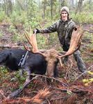 Idaho Moose, Bighorn Sheep & Mountain Goat - 2017 & 2018 Seasons & Rules - Controlled Hunt Application Period