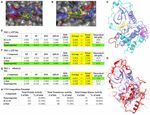 The Atypical Protein Kinase C Small Molecule Inhibitor &zeta;-Stat, and Its Effects on Invasion Through Decreases in PKC-&zeta; Protein Expression - Frontiers