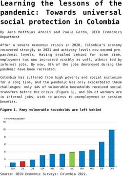 Learning the lessons of the pandemic: Towards universal social protection in Colombia - ECOSCOPE
