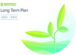 Long Term Plan 2021 2031 - Marlborough District Council