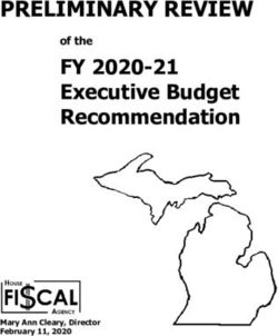 PRELIMINARY REVIEW FY 2020-21 - Executive Budget Recommendation of the - Michigan ...