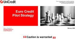Euro Credit Pilot Strategy - Caution is warranted - UniCredit Corporate & Investment Banking