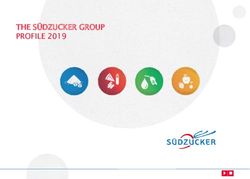 THE SÜDZUCKER GROUP PROFILE 2019 - Südzucker
