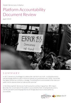Platform Accountability Document Review - Democracy Fund