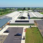 National Pig Centre - www.CIELivestock.co.uk @CIELivestock1