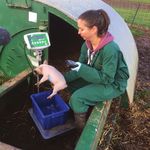 National Pig Centre - www.CIELivestock.co.uk @CIELivestock1