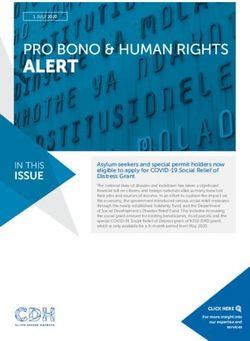 ALERT PRO BONO & HUMAN RIGHTS - Cliffe Dekker ...