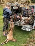 February 2021 - Identify your target beyond ALL doubt - Thames Valley Deerstalkers Association