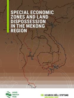 SPECIAL ECONOMIC ZONES AND LAND DISPOSSESSION IN THE MEKONG REGION