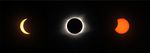 BEETLES COLLECTED IN LIGHT-TRAPS DURING THE NORTH AMERICAN TOTAL SOLAR ECLIPSE OF 21 AUGUST 2017 WITH A REVIEW OF ARTHROPOD