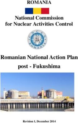Romanian National Action Plan post - Fukushima - ROMANIA National Commission for Nuclear Activities Control