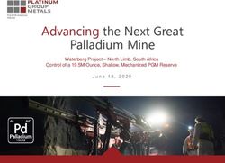 Palladium Mine Advancing the Next Great - Waterberg Project - North Limb, South Africa