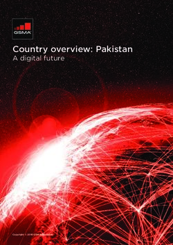 Country overview: Pakistan - A digital future - GSMA