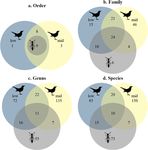 Competition with insectivorous ants as a contributor to low songbird diversity at low elevations in the eastern Himalaya - Authorea