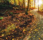 VISITOR'S GUIDE 2019 - Tourism Westman