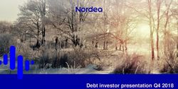 Debt investor presentation Q4 2018 - Nordea