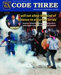 I will not allow this kind of violence to occur in Florida' - Palm ...