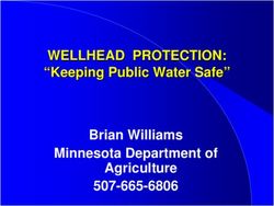 WELLHEAD PROTECTION: "Keeping Public Water Safe" Brian Williams Minnesota Department of Agriculture 507-665-6806